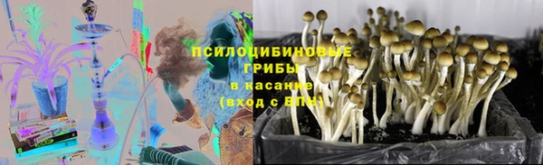 гашик Заводоуковск