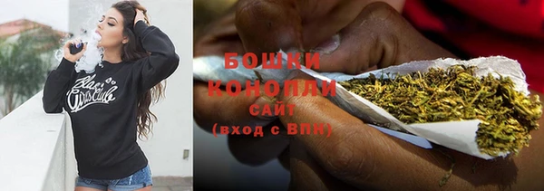 гашик Заводоуковск