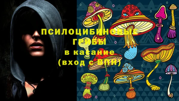 гашик Заводоуковск