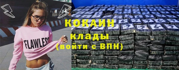 гашик Заводоуковск