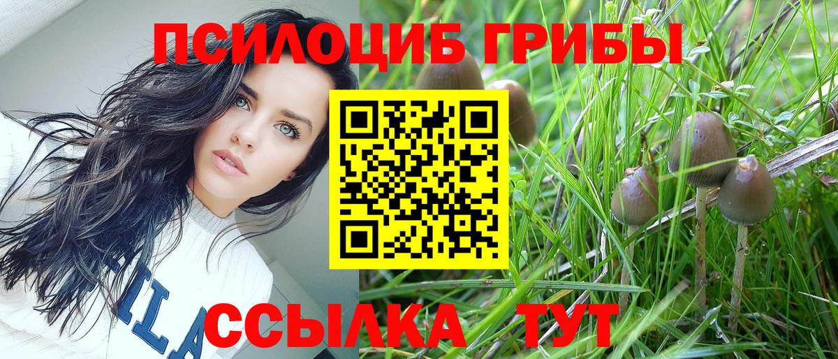 Галлюциногенные грибы Psilocybine cubensis Сибай